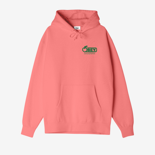 OBEY Sound & Resistance Hoodie