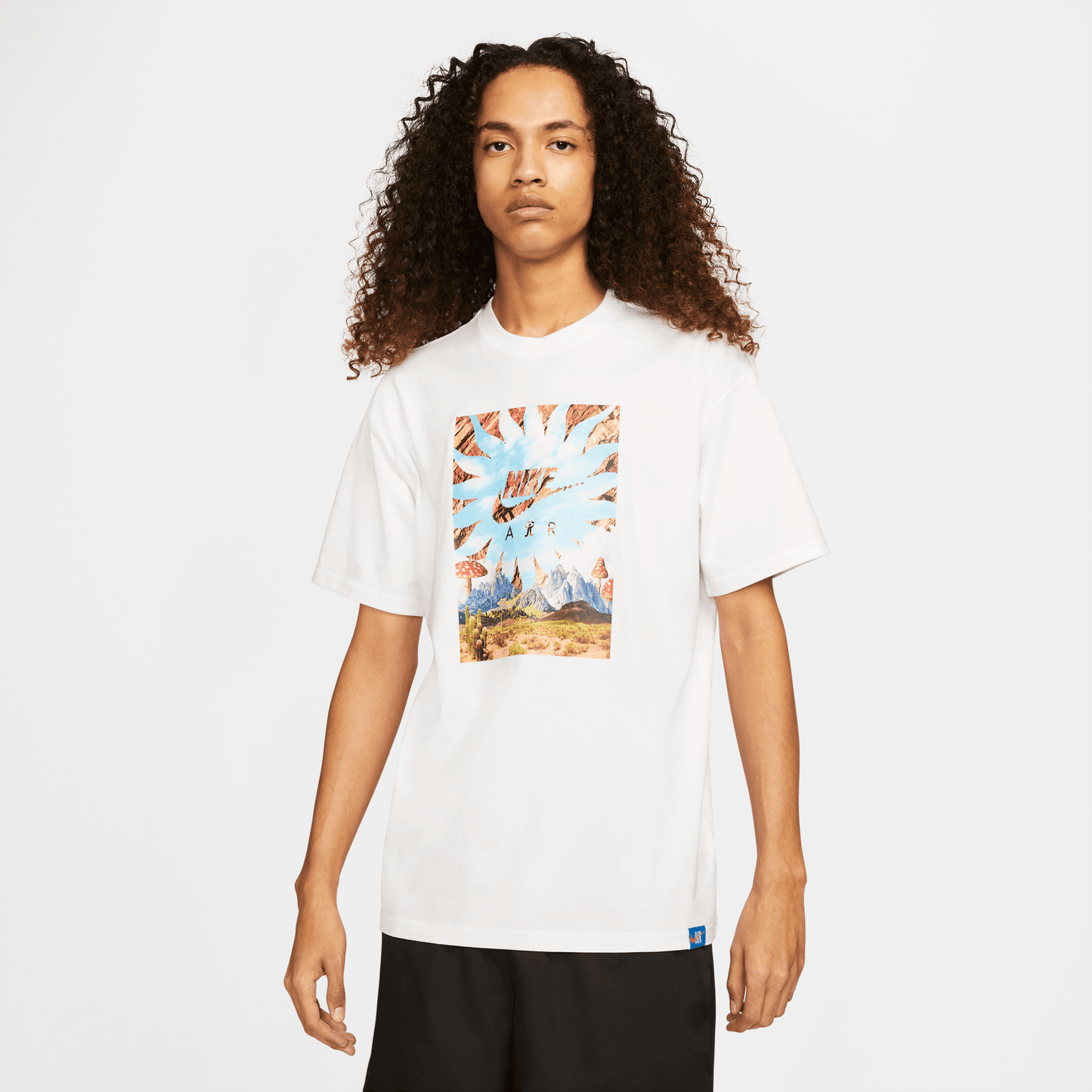 Nike Sportswear M90  Mountains T-Shirt