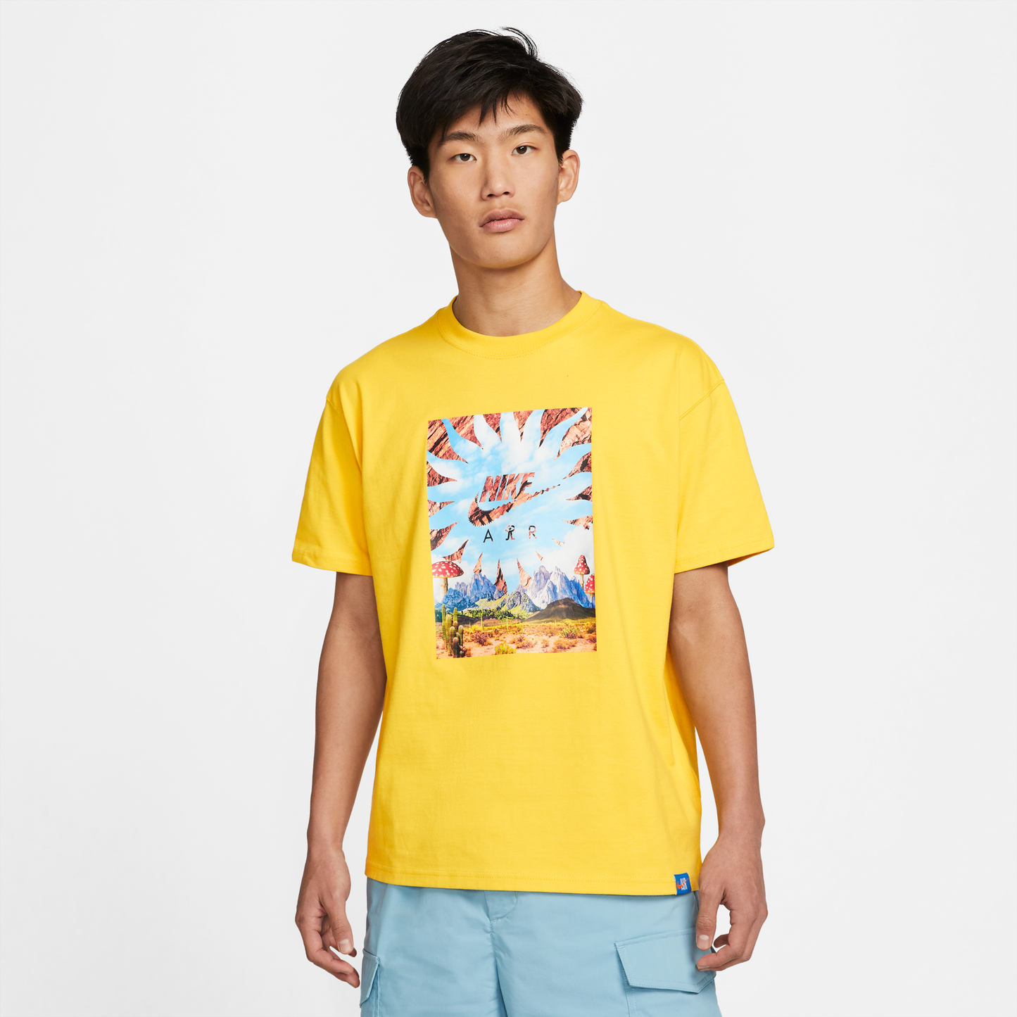 Nike Sportswear M90  Mountains T-Shirt