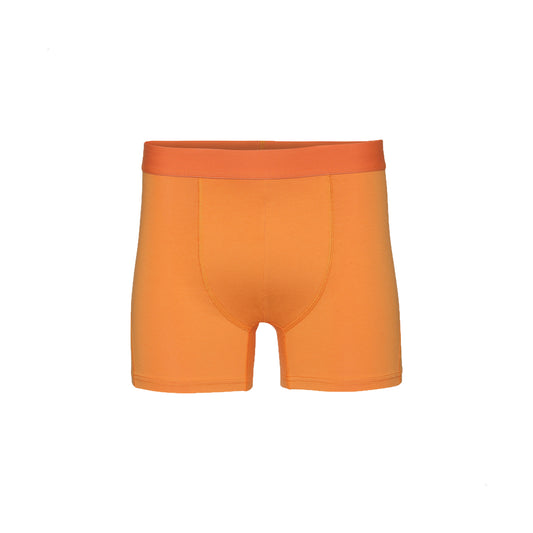 Colorful Standard Organic Boxer Briefs