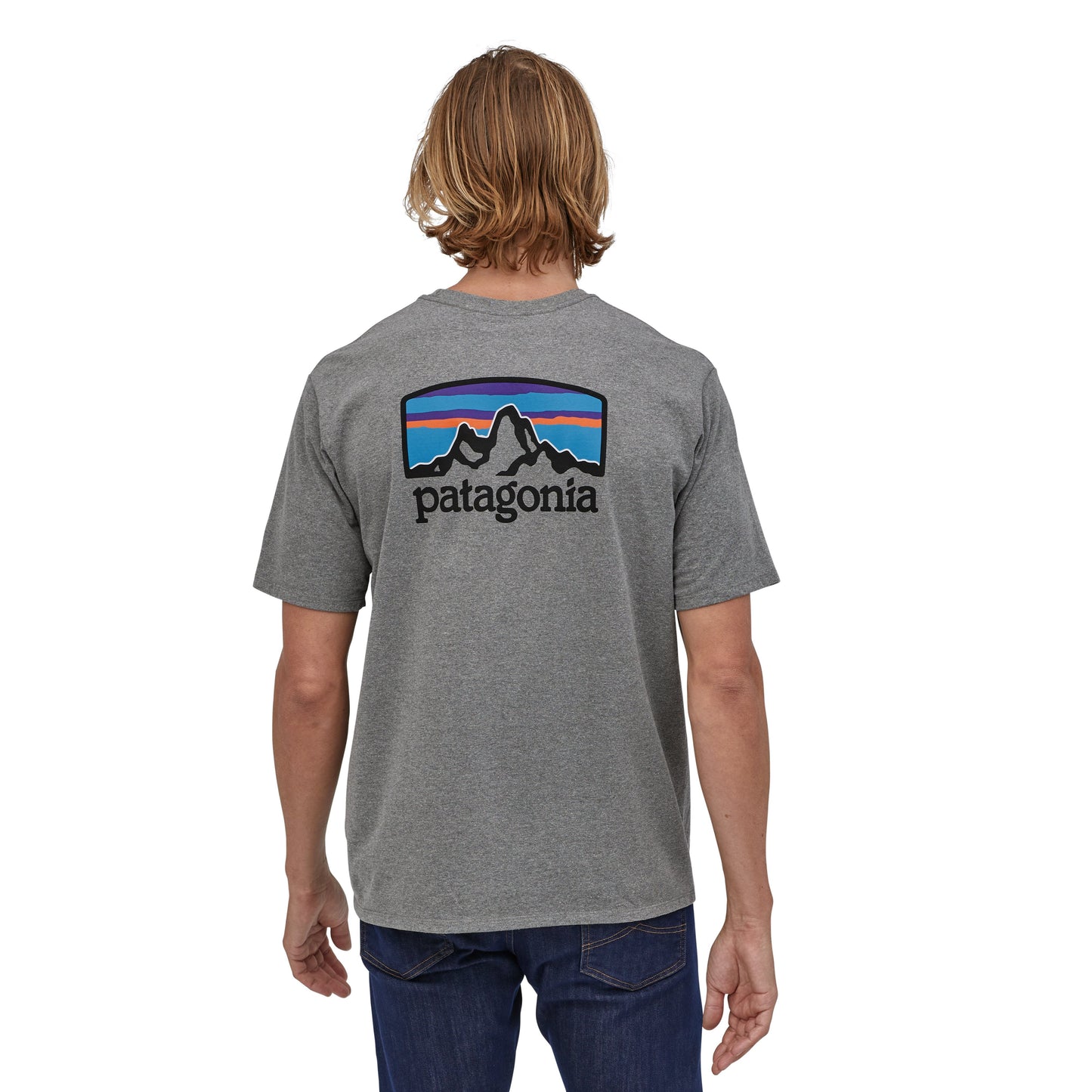 Patagonia Fitz Roy Horizons Responsibili-Tee