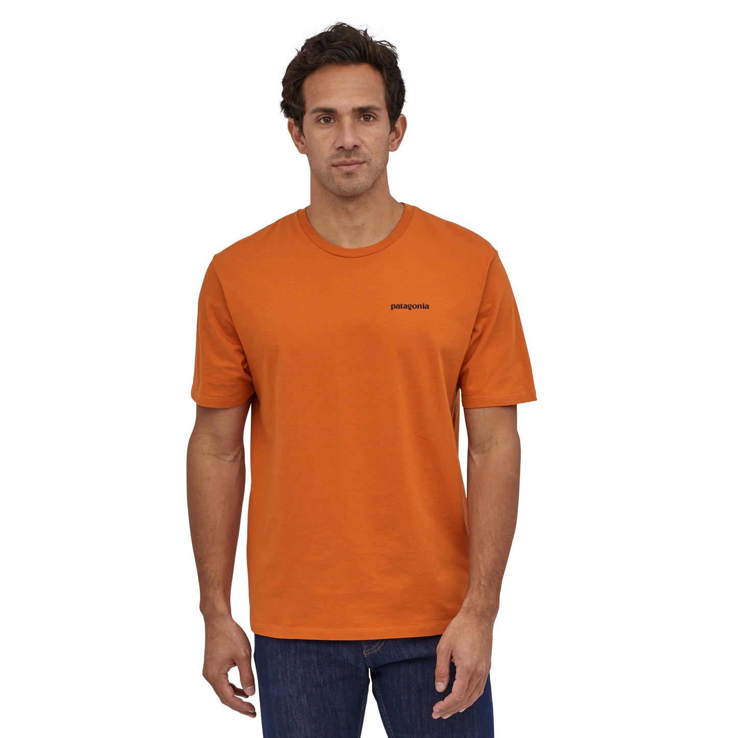 Patagonia P-6 Logo Organic T-Shirt