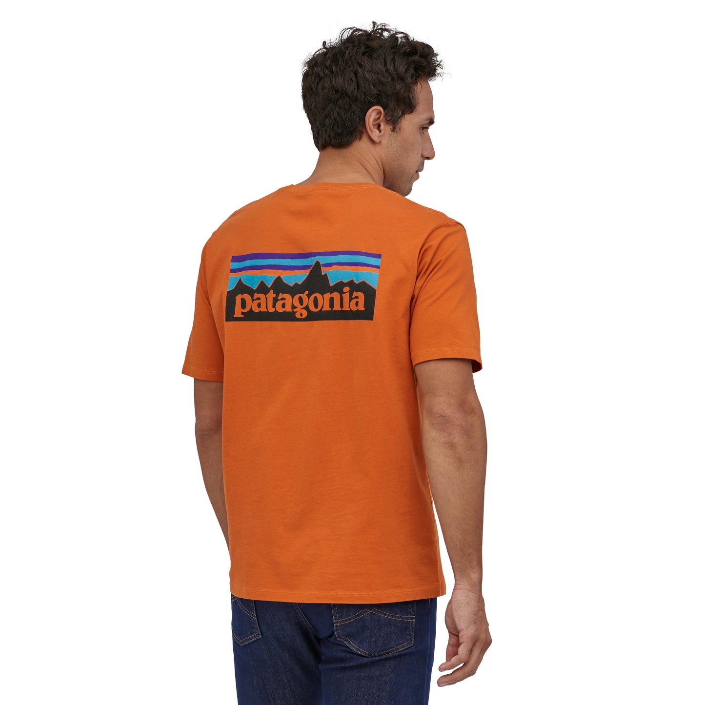 Patagonia P-6 Logo Organic T-Shirt